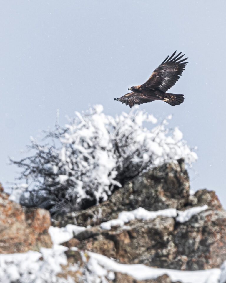 Doğaya Kanat Açtık